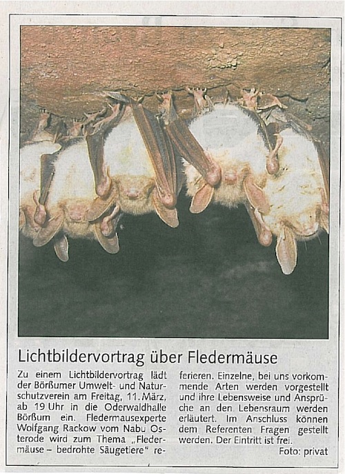 Lichtbildervortrag über Fledermäuse